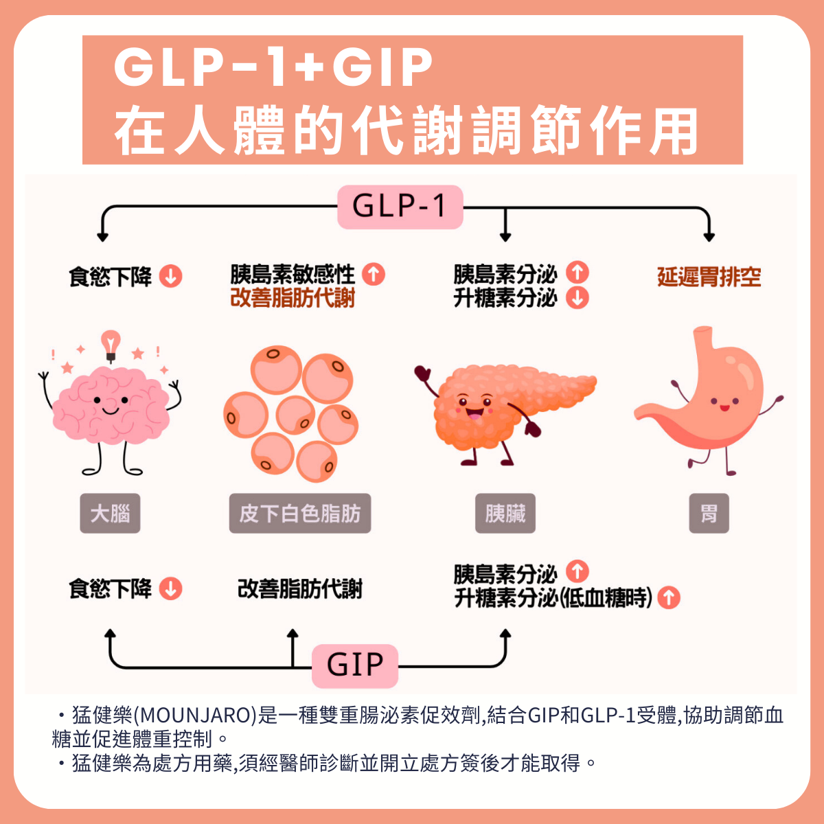 官網首圖 (4)