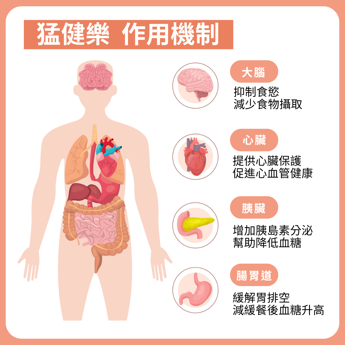 官網首圖 (5)